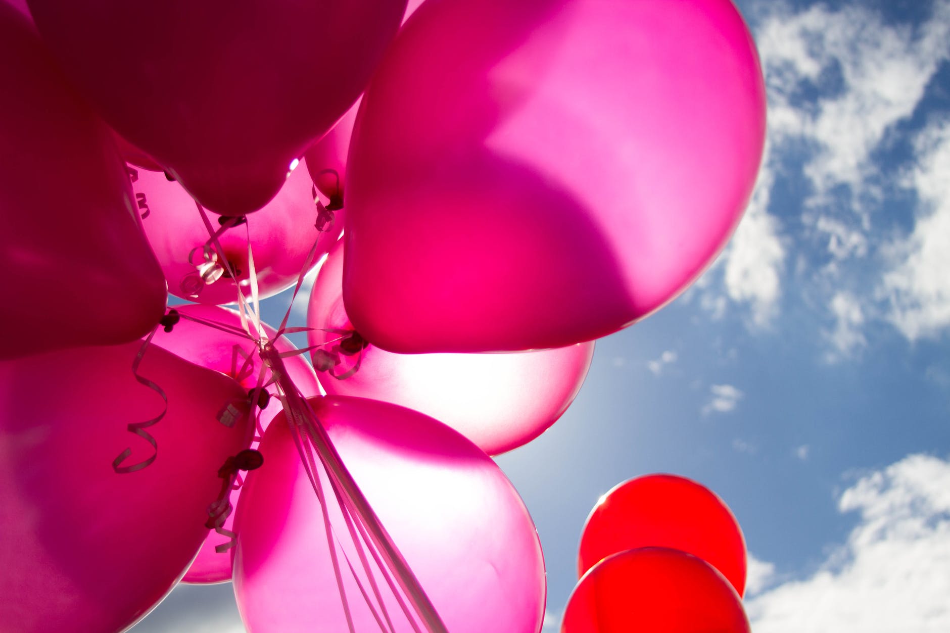 pink and red balloons during daytime