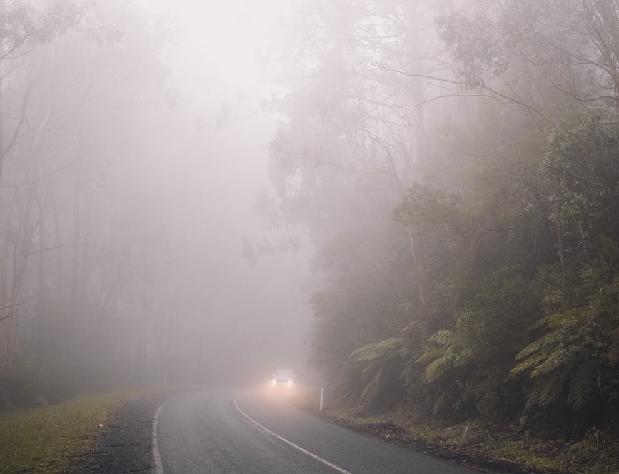 wood light road traffic