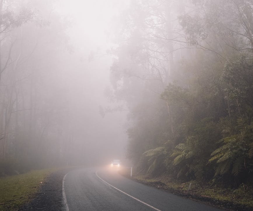 wood light road traffic