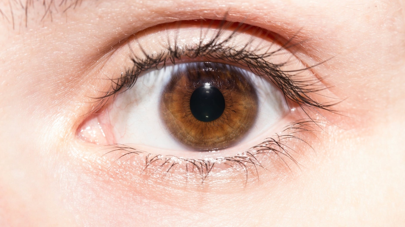 crop brown eye of unrecognizable person