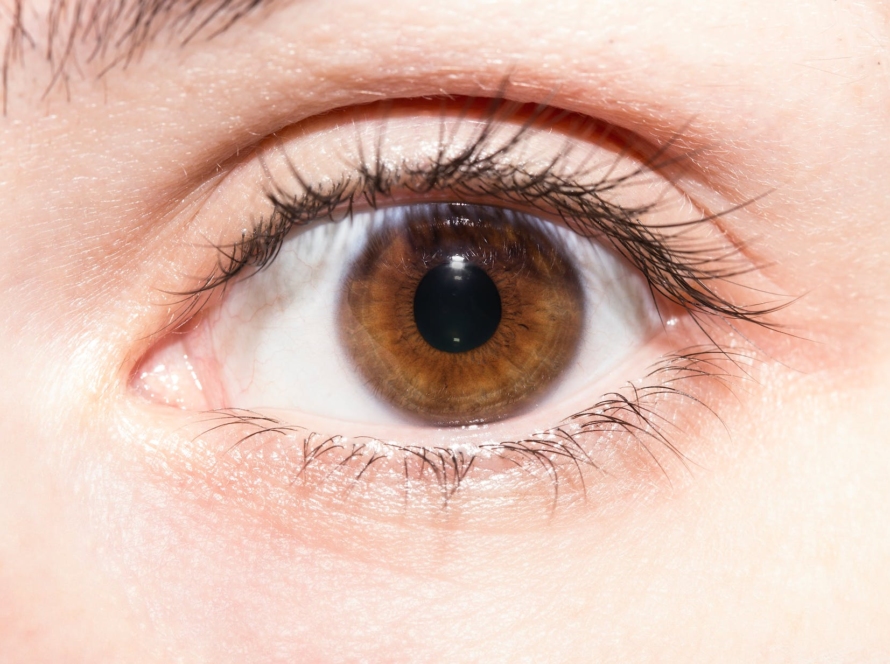 crop brown eye of unrecognizable person