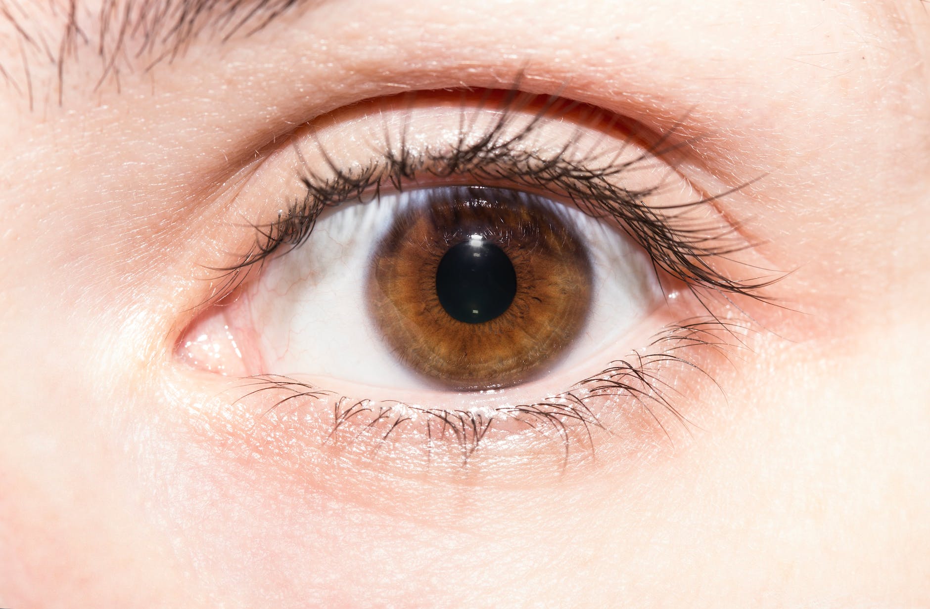 crop brown eye of unrecognizable person