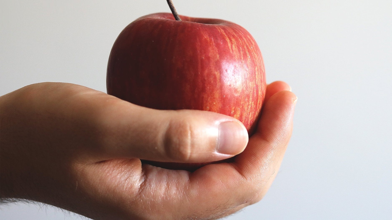 close up photo of person holding red apple