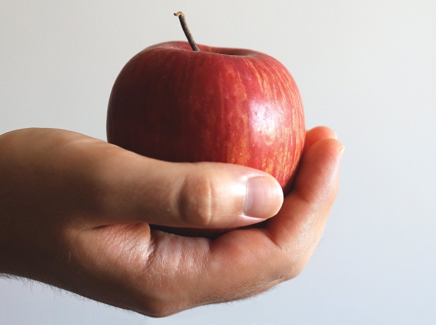 close up photo of person holding red apple